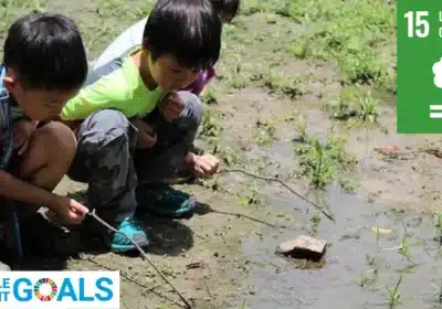 Impact story: An eco-education permaculture community to promote sustainability