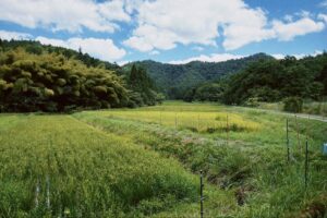 社區營造生活場景