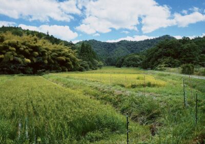 社區營造生活場景