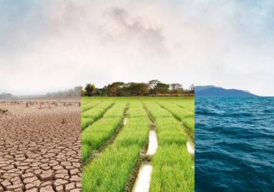 Impact investing does not have a money problem — Vincent Cheng